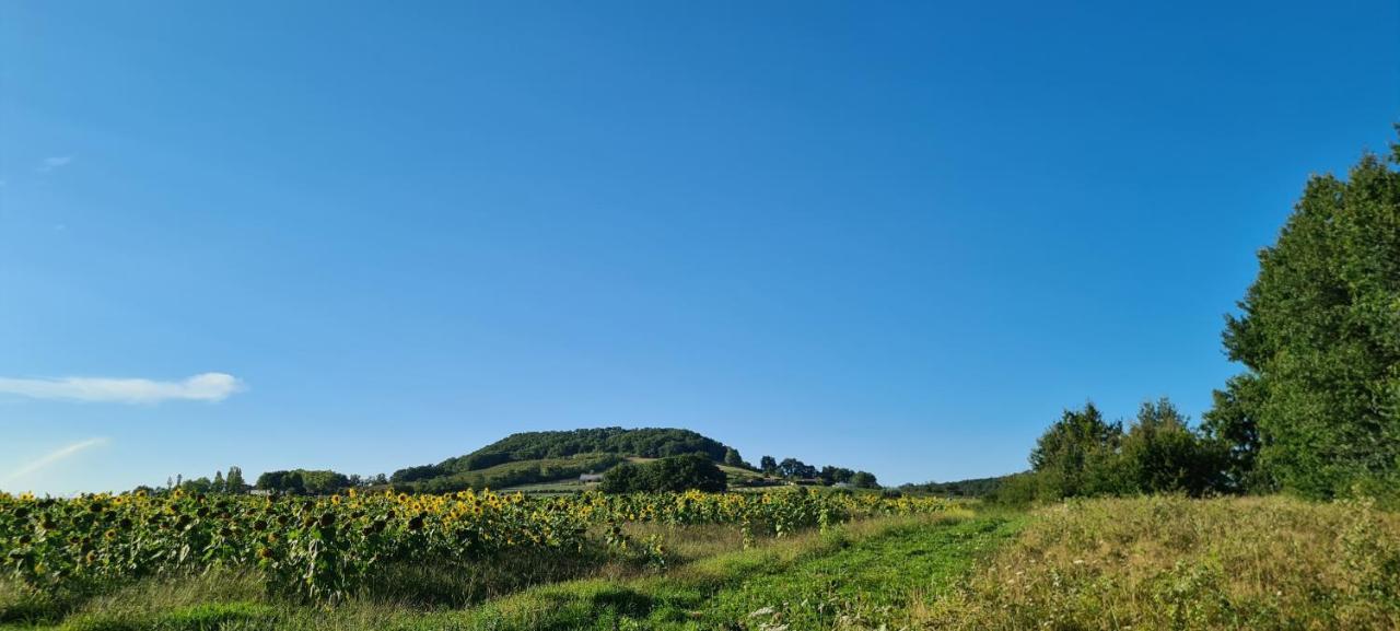 Le Coq En Repos Bed & Breakfast Saint-Sylvestre-sur-Lot ภายนอก รูปภาพ
